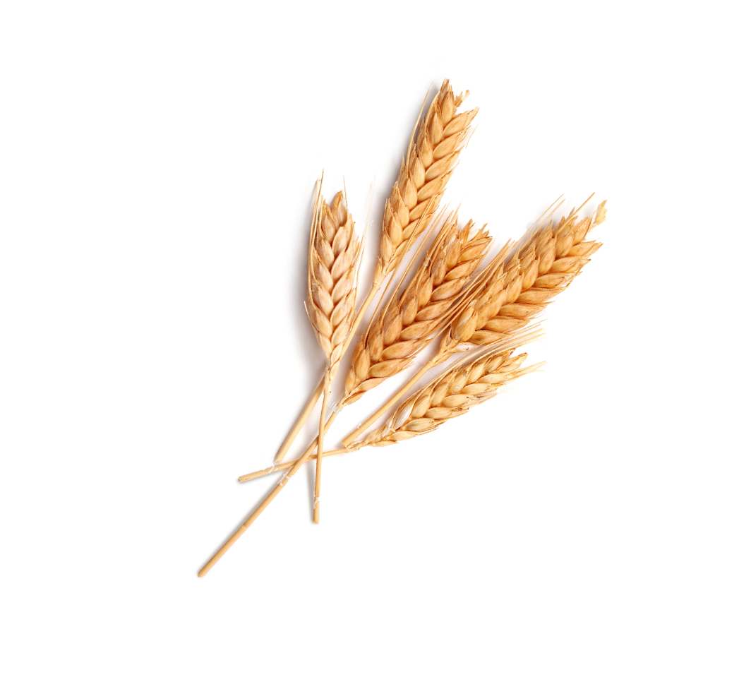 wheat-left